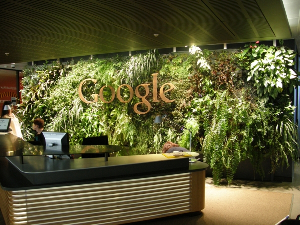 Google Go Green