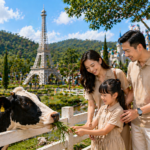 Keluarga memberi makan sapi di wisata dairyland bawen semarang